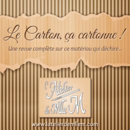 [Revue] Le Carton, ça cartonne !